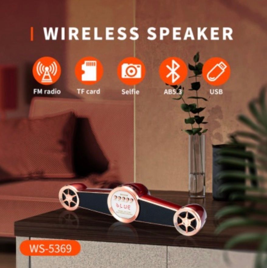 [36MKT-Y010202a]-WSTER WS-5369 Wireless Speaker w/ FM Radio(2)